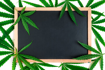 Empty blackbroad with Cannabis leaves on white background,