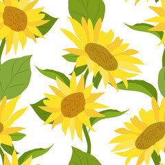 Seamless vector pattern with sunflowers. Yellow flowers on a white background. EPS 10.