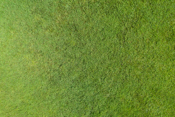 Green grass texture and background. Top view, drone, aerial view