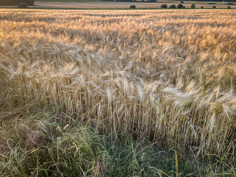 L'indre Bilder Durchsuchen 203 Archivfotos, und Videos