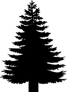 recommend clip art: Assorted pine tree