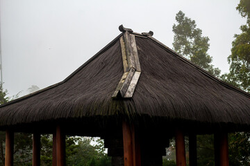 Architecture. rustic roof.