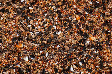 The grains were eaten by animals and damaged.