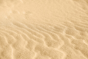 Fototapeta na wymiar Sand on the beach as a background. Close-up sand texture. Summer sunlight. Top view.
