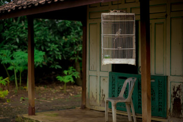 Photograph the atmosphere in front of the house or in the yard. Rural. Bird cage in front of the house.