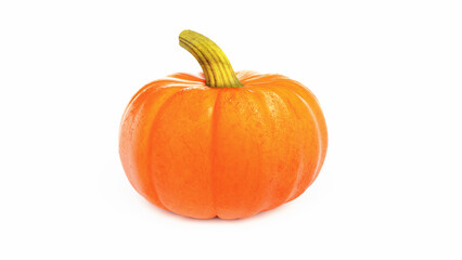 Pumpkin isolated on white background. Beautiful vegetable, Illustration with copy space at center and beside the object.