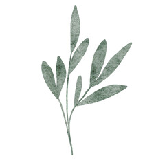 Watercolor green leaves and brunches Greenery herb hand drawn illustration
