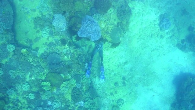 Scuba Divers Swimming Over Coral Reef In Ocean - Exmouth, Australia