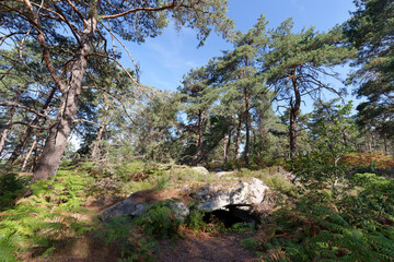 Denecourt hiking path 5 in the Cuvier Chatillon rocks. Fontainebleau forest