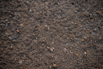 Dry brown soil during the dry season.