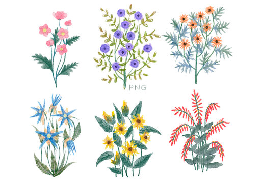Set of wild flowers meadow plant clipart hand drawn isolated illustration, cute colorful garden herbs, meadow flowers painting for scrapbook, sticker and decoration printing or card design.