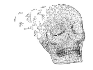 3D mesh of a skull isolated on white background. 3D illustration.