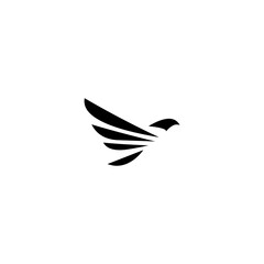 Bird logo vector template. Fly symbol. Eps 10. Minimal logotype.