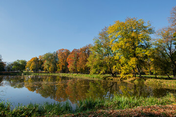 Beautiful and colorful autumn in the Dojlidy Park in Białystok