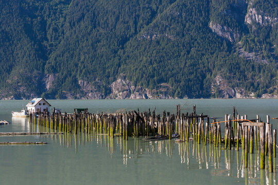 Bella Coola