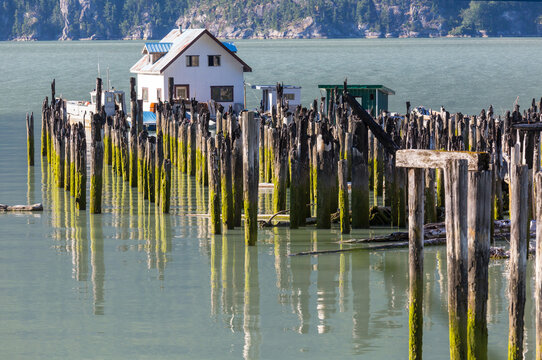 Bella Coola