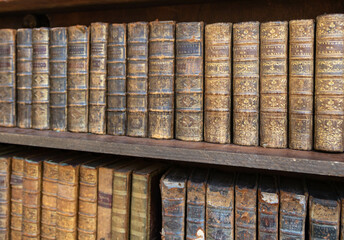 Close up of  old books on display on a bookshelf at an french  antique shop