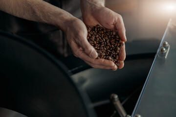 Close up of male barista hands demonstrate freshly roasted coffee beans