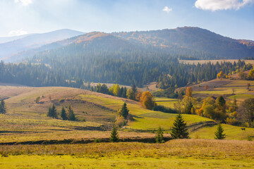 Fototapeta premium mountainous rural landscape. fields and pastures on rolling hills. sunny autumn day. beauty of carpathian countryside scenery