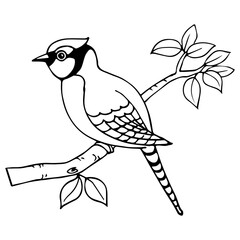 Kids Coloring Pages, Cute Bird Sit On Tree Branch Character Vector illustration Ai File And Image