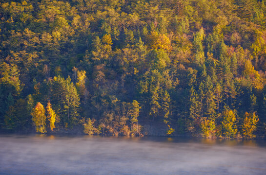 forest by the lake in autumn. trees on the shore in fall foliage. beautiful scenery with mist on the water on a warm sunny morning
