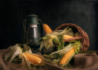 still life with corn