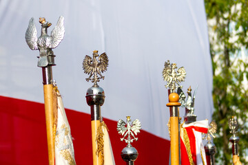 Orzeł w koronie na tle Polskiej flagi