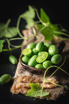 Cucamelon, Melothria scabra