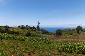 Fototapeta na wymiar Küstendorf in Santana, Madeira