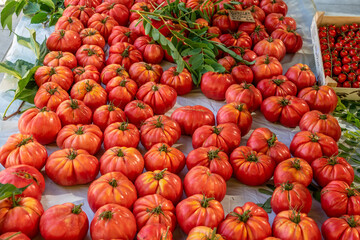 Red tomatoes at the street market