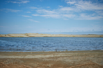 Humedales de Punta Balcones, Talara, Perú.