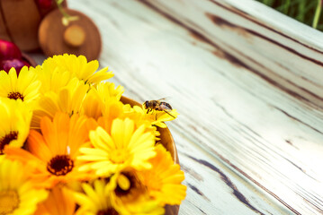 medicinal yellow calendula flowers with a bee and cherry berries on a white wooden background 1