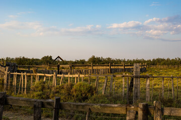 Fototapeta premium Enclos vide du petit marais de Candillargues au coucher du soleil