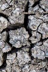 Terre argileuse asséchée du petit marais de Candillargues