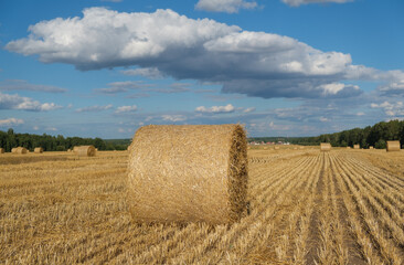 beautiful landscape and view of straw rolls on the field and white clouds