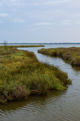 Obraz premium Panorama au coucher du soleil sur l'Etang de l'Or depuis le petit marais de Candillargues