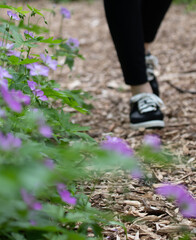 Hiking feet on trail