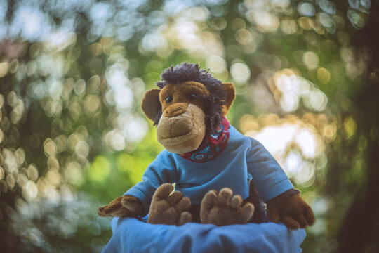 Photo of a toy monkey isolated