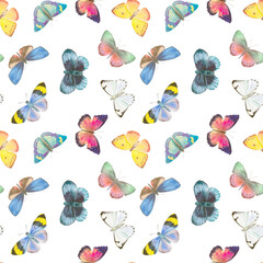 Watercolor butterflies on a white background. Butterfly botanical ornament for design, wallpaper, wrapping paper, textile. Seamless pattern