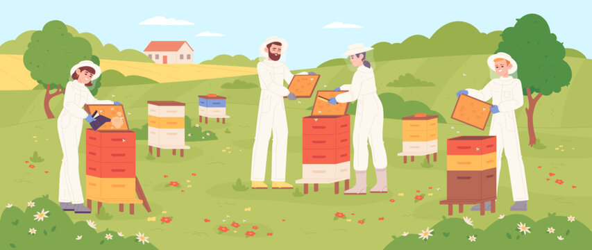 Apiary workers. Garden beekeeping, beekeeper care bee honey production, people working keepe honeybee farm pollen beeswax countryside nature landscape, garish vector illustration