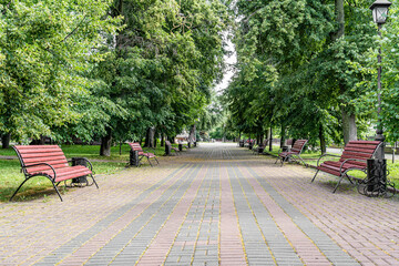 Alley in the park with benches for cool rest among green trees in the city park.