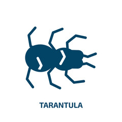 tarantula vector icon. tarantula, death, danger filled icons from flat insects concept. Isolated black glyph icon, vector illustration symbol element for web design and mobile apps