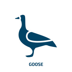 goose vector icon. goose, duck, farm filled icons from flat animals concept. Isolated black glyph icon, vector illustration symbol element for web design and mobile apps