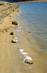 Row of rocks on the beach of a swamp