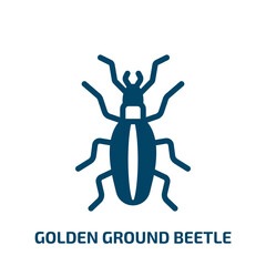 golden ground beetle vector icon. golden ground beetle, vector, graphic filled icons from flat insects concept. Isolated black glyph icon, vector illustration symbol element for web design and mobile