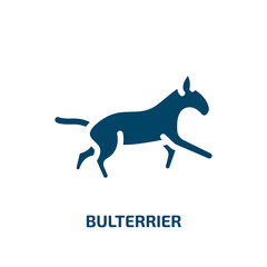 bulterrier vector icon. bulterrier, labrador silhouette, husky filled icons from flat dog breeds heads concept. Isolated black glyph icon, vector illustration symbol element for web design and mobile