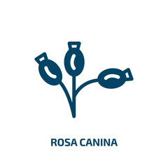 rosa canina vector icon. rosa canina, natural, nature filled icons from flat autumn concept. Isolated black glyph icon, vector illustration symbol element for web design and mobile apps