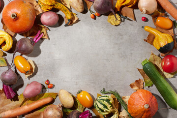 autumn flat lay on concrete background with pumpkins