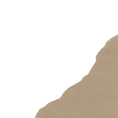 Torn Paper