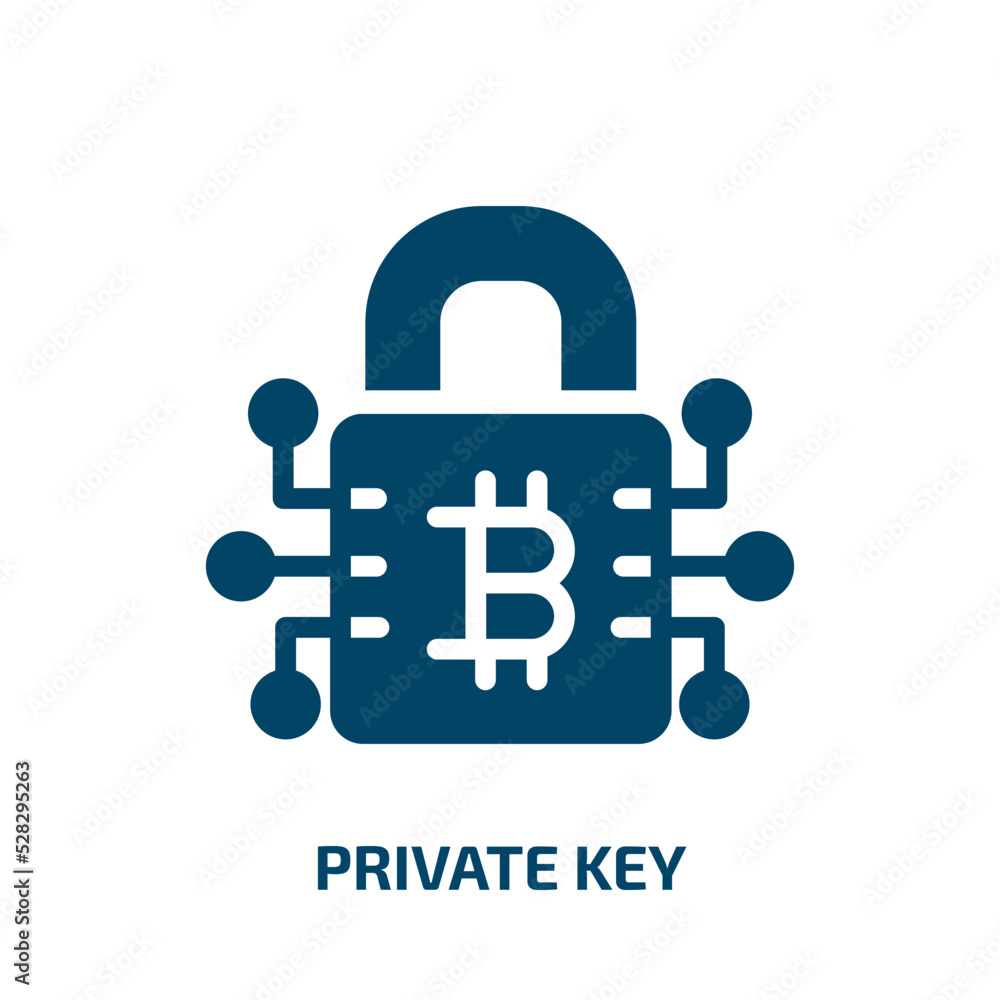 Poster private key vector icon. private key, lock, password filled icons from flat bitcoin concept. isolate